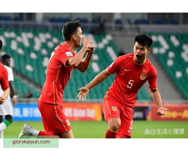 2023年解放者杯最新冠军揭晓，足球赛事的竞争力持续增强